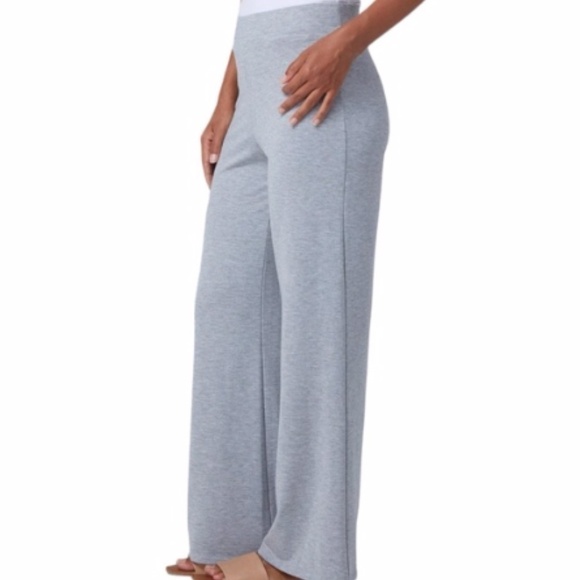 Franne Gold The Heavenly wide leg pull on pants Taupe NWT XXL Petite XXLP - Picture 3 of 5